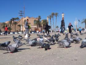 W Trypolisie toczy się z pozoru normalne życie, chociaż miasto od kwietnia jest oblegane.
