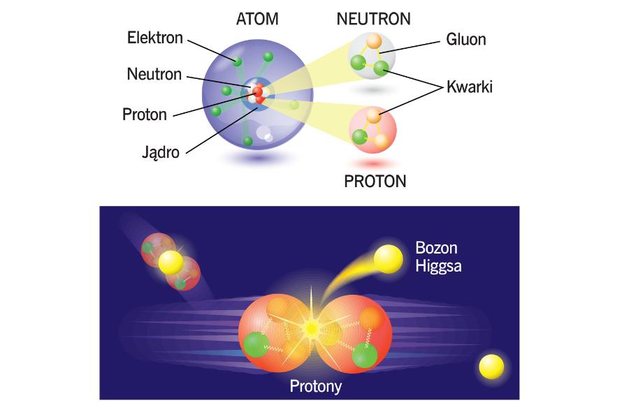 Budowa atomu. Bozon Higgsa odpowiada za to, że cząstki mają masę.