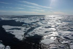 Zimne i pełne mikroorganizmów wody wschodniego Oceanu Arktycznego. Są szczególnie podatne na tzw. influx dwutlenku węgla z atmosfery. Uczeni badają obecnie, na ile pochłanianie dwutlenku węgla wpływa na topnienie lodów.