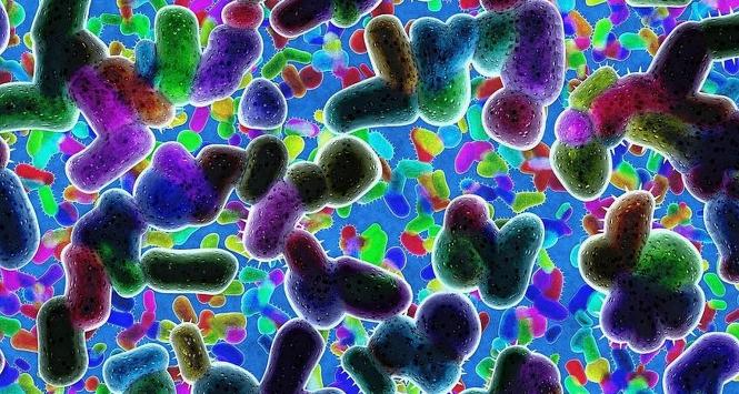 Aby zdrowa komóka przekształciła się w rakową nie wystarczy jedna mutacja - musi nagromadzić się ich wiele.