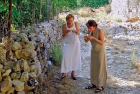 Cytrynowa uczta w Morghelli