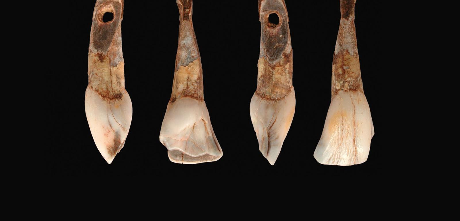 W Jaskini Borsuka w powiecie krakowskim znajdował się pochówek dziecka zmarłego 27 tys. lat temu, któremu na drogę w zaświaty dano naszyjnik z zębów upolowanych zwierząt.