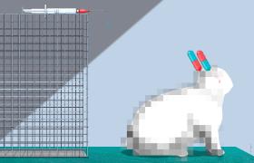 Wyniki uzyskiwane na zwierzętach tak niedoskonale przekładają się na zastosowania w ludzkiej medycynie, że niektórzy badacze porównują ich skuteczność ze zdarzeniami losowymi.