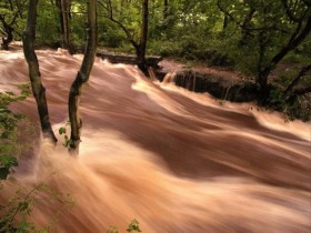 Podczas powodzi opadowej nawet maleńki strumyk może zamienić się w rwącą rzekę