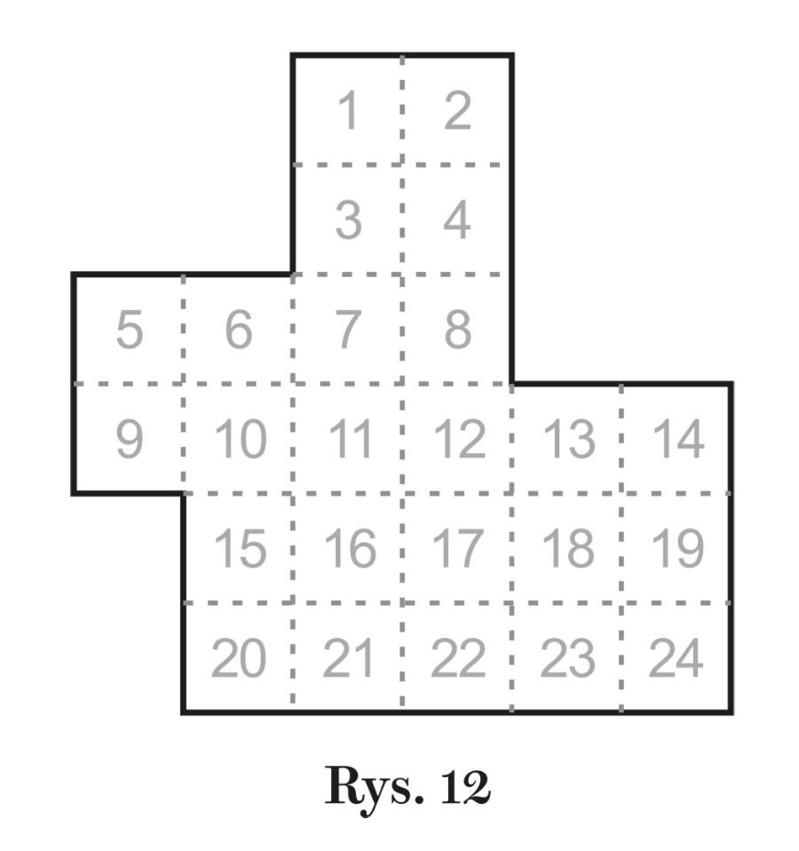 Rys. 12