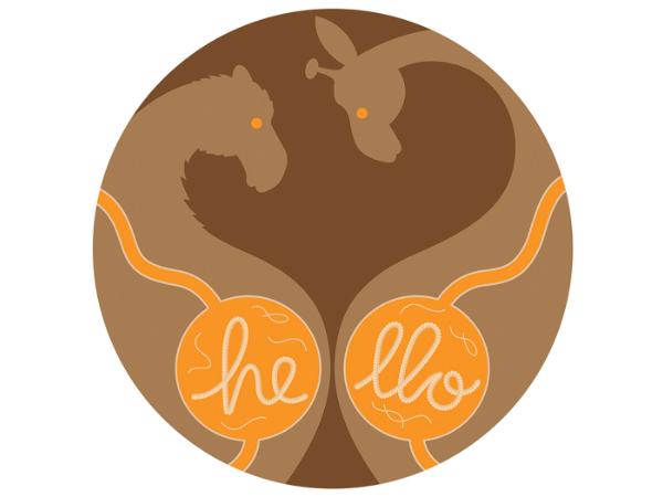 null