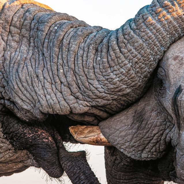 Pulsar - wyjątkowy portal naukowy.