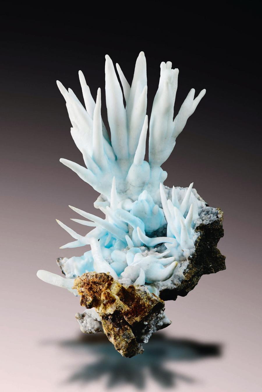 Aragonit (węglan wapnia) – niebieskawa barwa pochodzi od śladów związków miedzi.