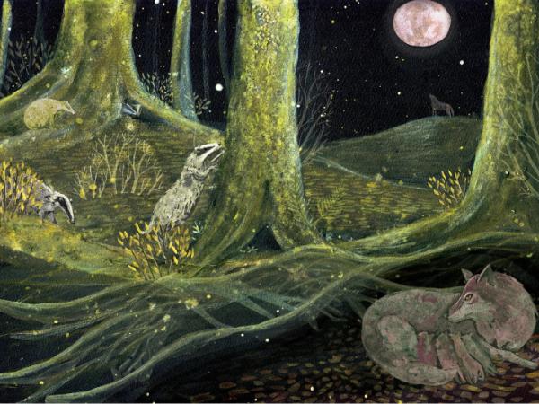 Puszcza. Opowieści karpackich buków