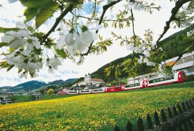 Trasa Ekspresu Lodowcowego obejmuje także region Disentis, znany z alpejskiej przyrody i lokalnej kultury (gdzieniegdzie można usłyszeć nawet rzadki język retoromański). W samym Disentis obejrzymy m.in. opactwo św. Marcina – jeden z najstarszych klasztorów w Europie, bo założony jeszcze w VIII wieku (widoczny na zdjęciu).