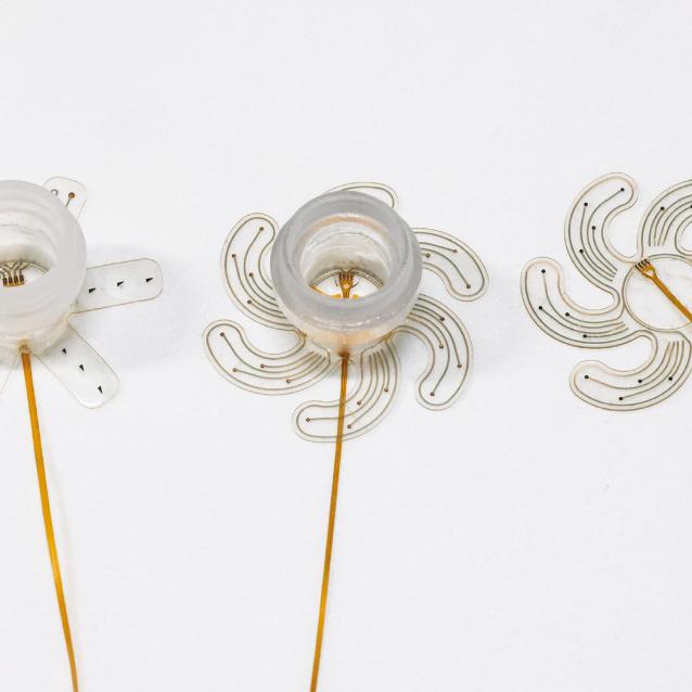 Elastyczny neuro-implant nie zakłóca pracy mózgu