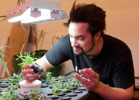 Benjamin Vidmar i jego hydroponiczna sałata.