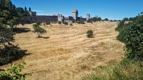 Visby, największe miasto na Gotlandii ze średniowiecznymi murami przypominającymi starożytną Jerozolimę, gdzie Bergman zamierzał kiedyś nakręcić film o Jezusie.