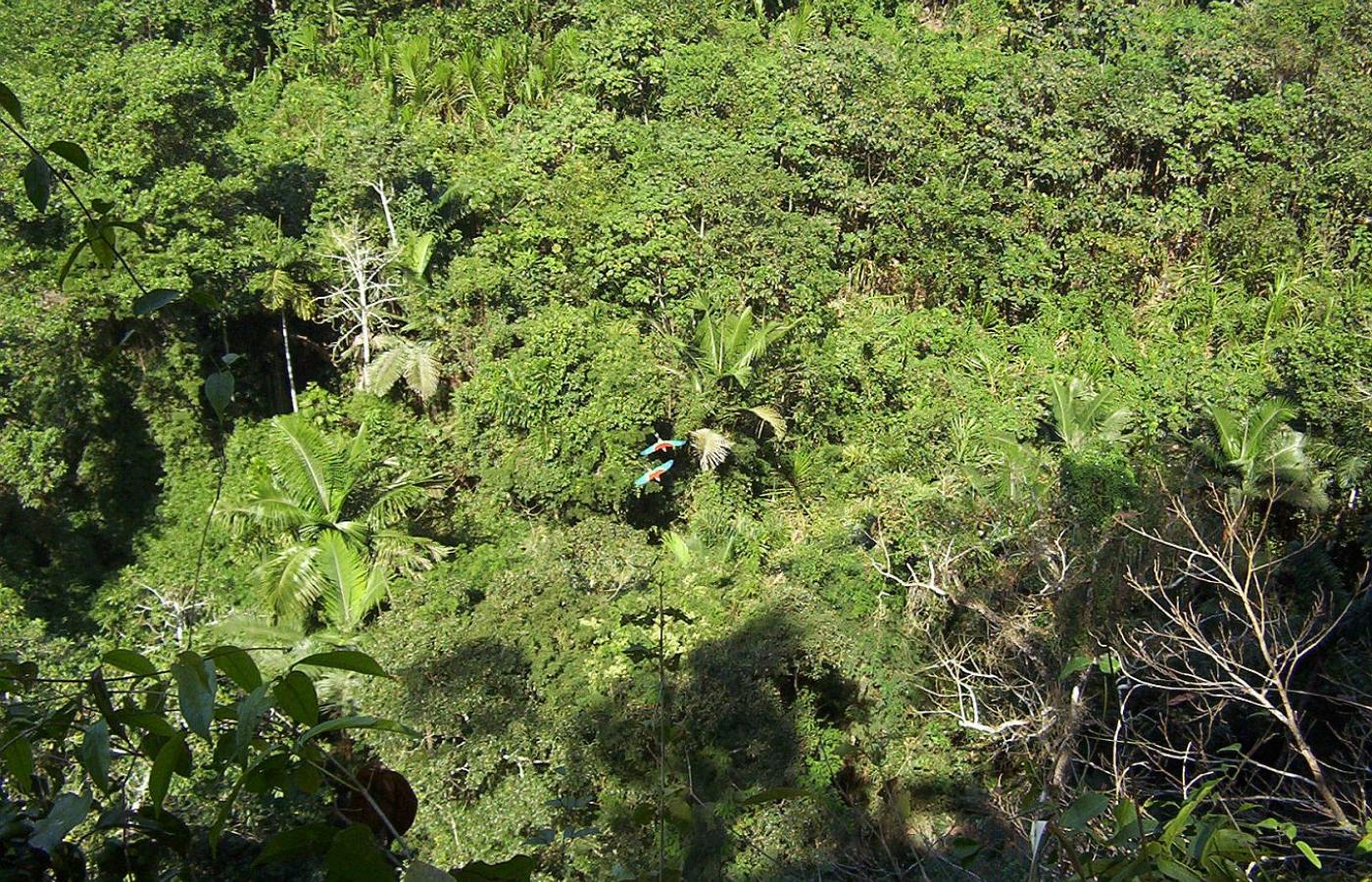Park obejmuje tereny górskie - na wysokości ponad 5 tys. m - oraz nizinne, które przynależą już do Amazonii. Przez teren parku płynie kilka rzek, w tym największe - Rio Beni i Rio Madidi. Na zdjęciu dolina rzeki Beni.