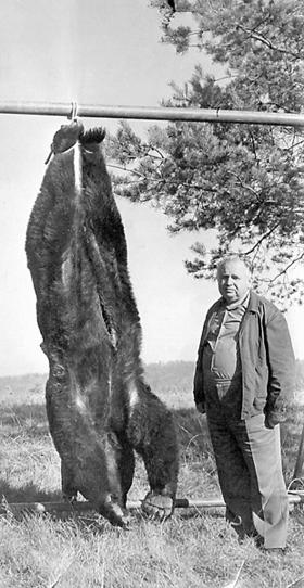 Kazimierz Doskoczyński przy niedźwiedziu upolowanym w 1975 roku koło Żurawina przez Piotra Jaroszewicza.