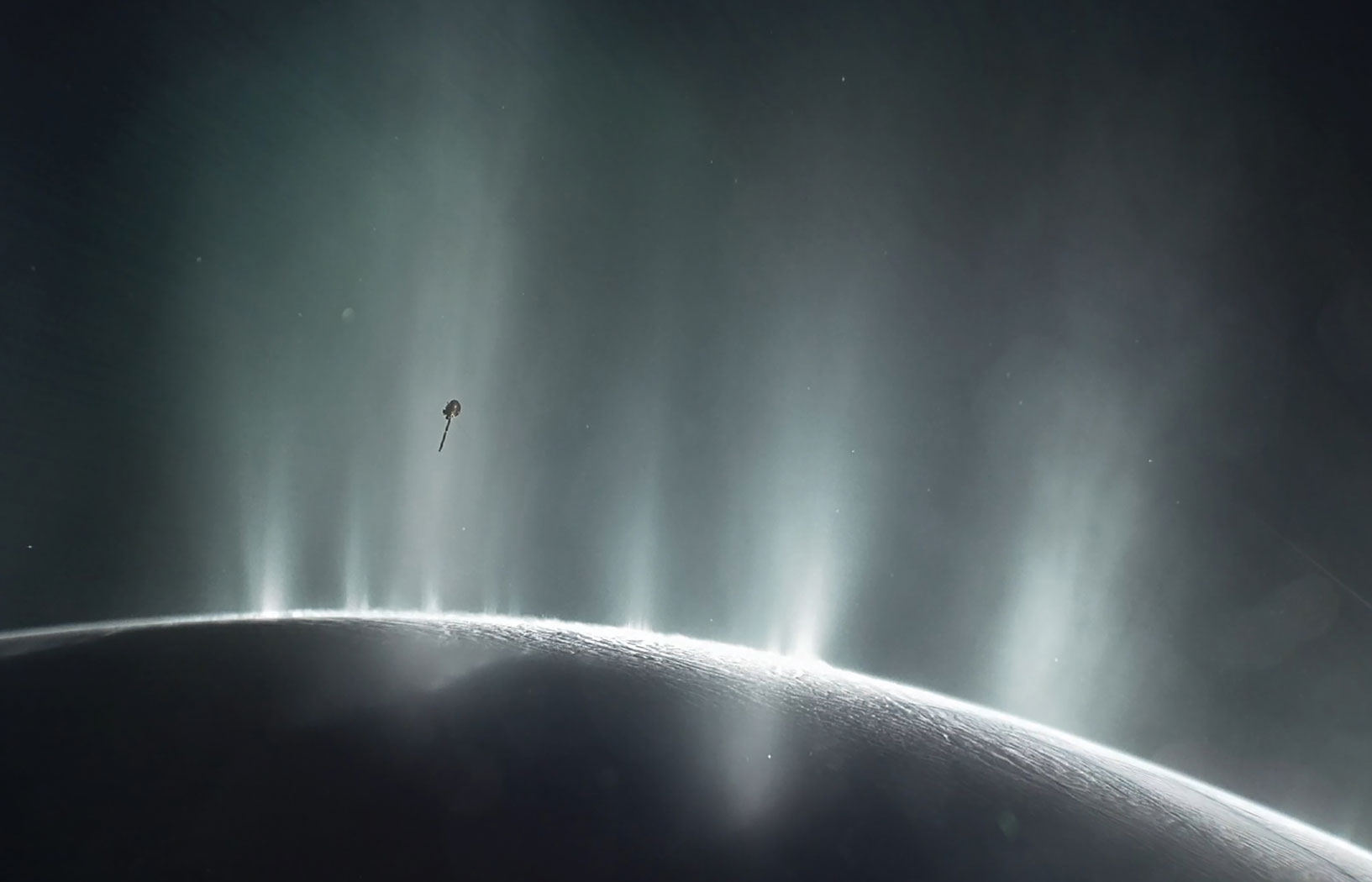 Fascynujące pióropusze