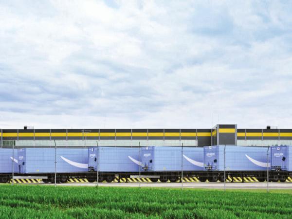 Tytus Szabelski, cykl „AMZN”, Kołbaskowo 2020 r.