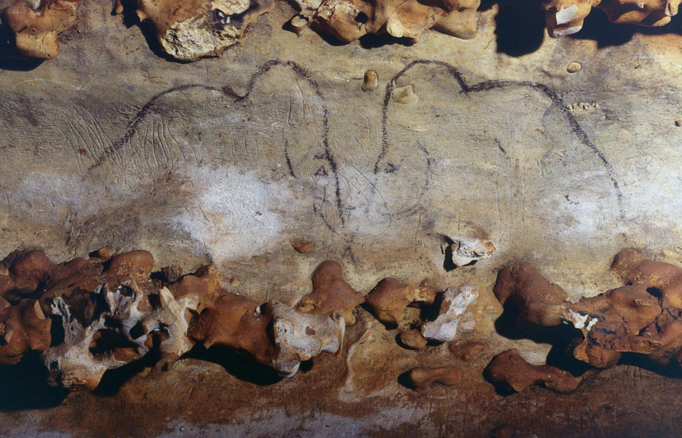 Malowidła w jaskini Rouffignac.