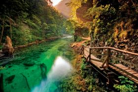 Radovljica – tu można zachłysnąć się przyrodą.