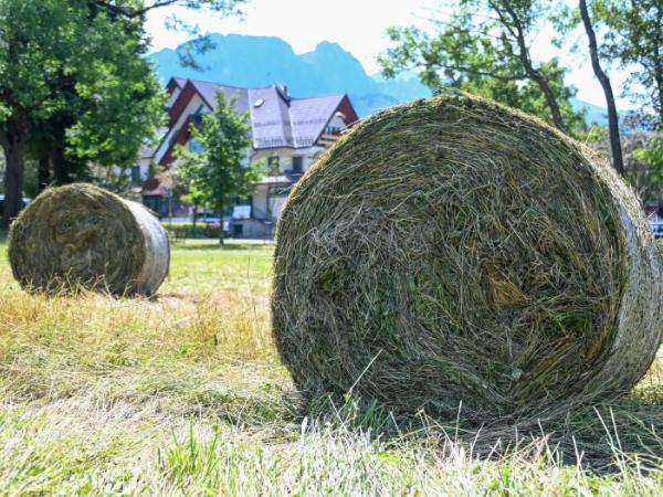 Gdy nadarzyła się okazja na medialny exclusive, wPolsce24 przystąpiło do żniw.