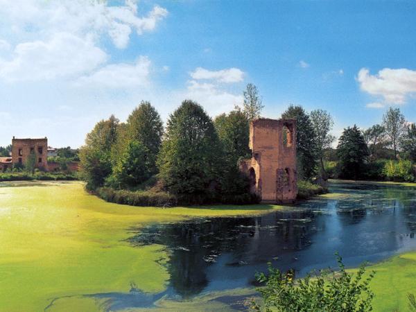 Zamek niszczejący Ćmielów. Adama Kleczkowskiego skusiły malownicze ruiny i sama okolica. Kupił zabytek, ale przeliczył się z siłami i musi go sprzedać.