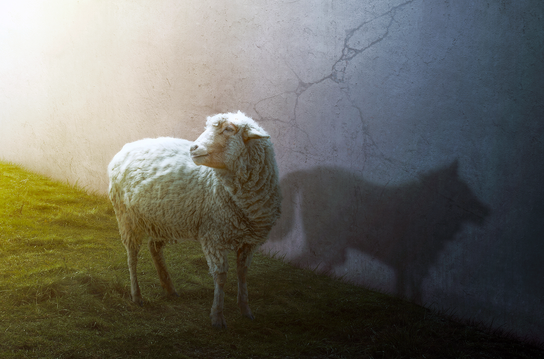 Komórki nowotworowe podstępnie wymuszają środki do rozwoju