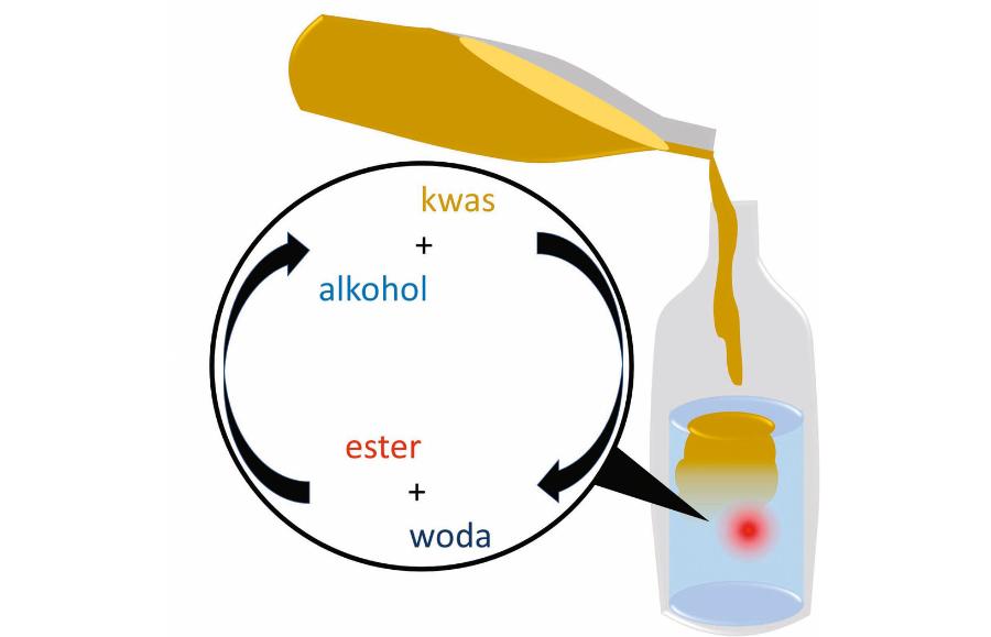 W roztworze kwasu i alkoholu ustala się równowaga – zachodzą reakcje powstawania, lecz także rozkładu estru.