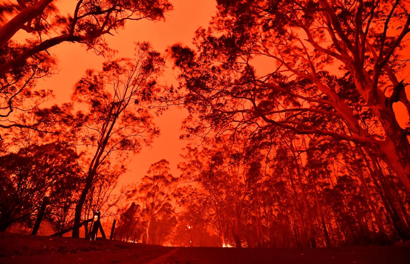 Pożary w Australii zabarwiły niebo na pomarańczowo.