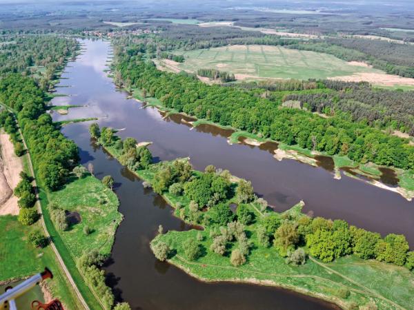 Odra