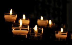 Śmierć prof. Vetulaniego to wielka strata nie tylko dla polskiej nauki.