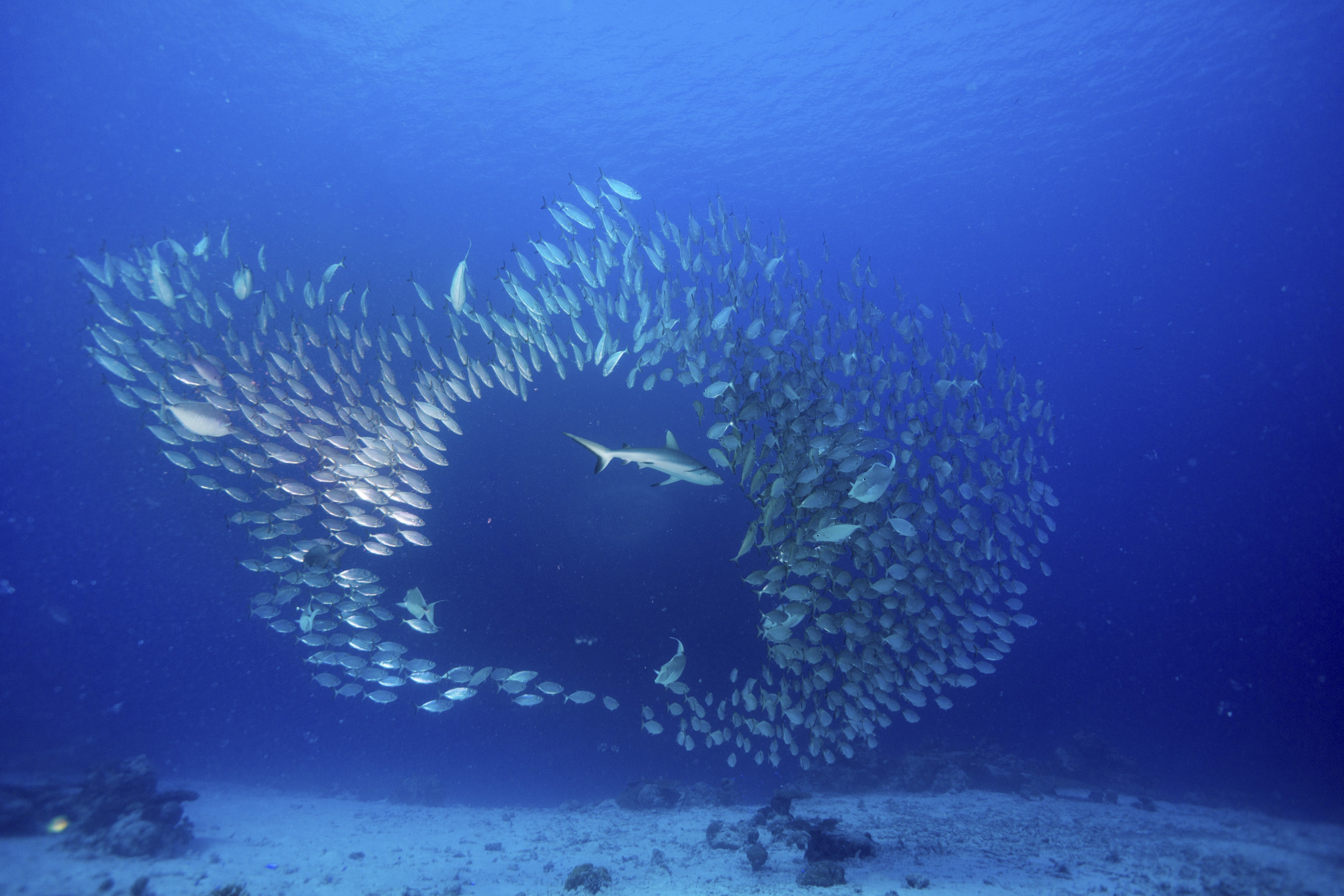 Gdzie rodziło się rybołówstwo dalekomorskie