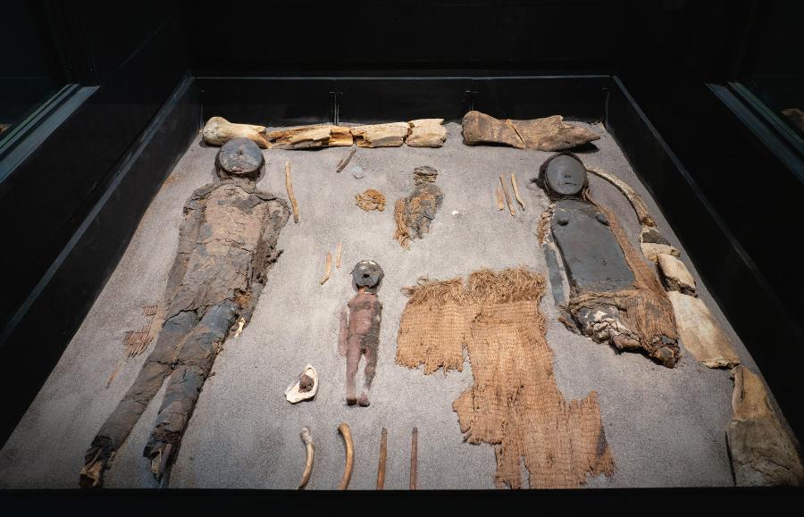 Najstarsze wykonane przez ludzi mumie kultury Chinchorro (Muzeum Archeologiczne San Miguel de Azapa w Chile), powstałe 4–7 tys. lat temu.