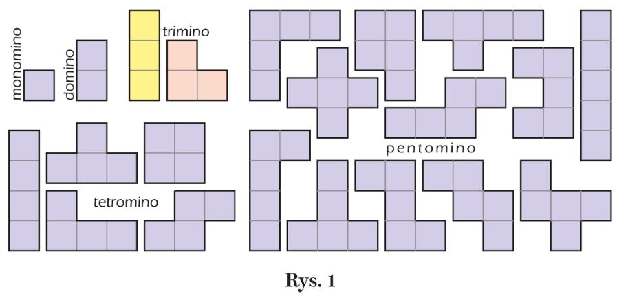 Rys. 1