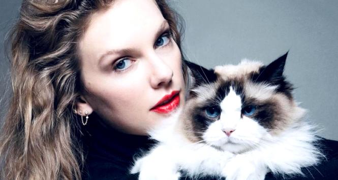 Taylor Swift