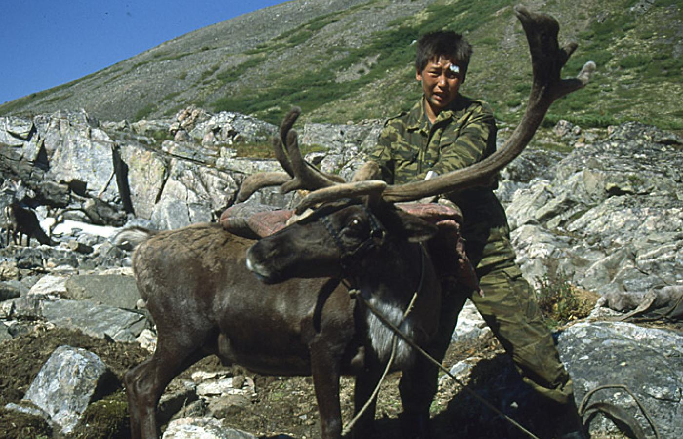 zabierając prowiant ...