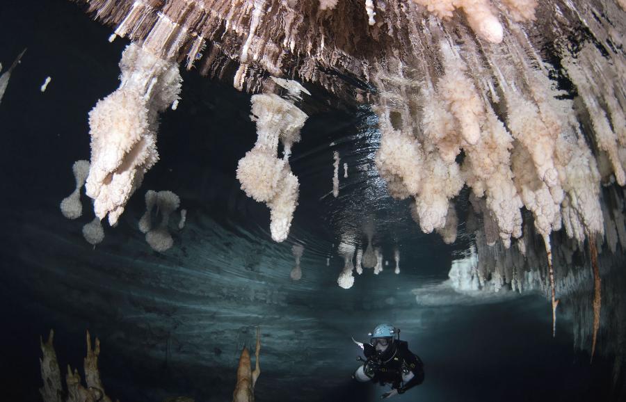 Naukowcy nurkowali w jaskiniach, aby na podstawie tempa przyrostu form krasowych zrekonstruować zmiany poziomu mórz.