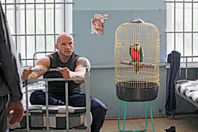 Kadr z „Pitbulla” z Tomaszem Oświecińskim