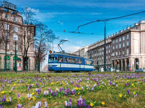 Nowa Huta była projektem wymierzonym w stary, inteligencki Kraków.