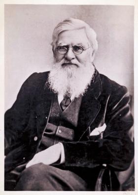 Alfred Russel Wallace (1823-1913), brytyjski biolog i przyrodnik.