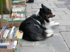 O sile rynku wtórnego świadczy m.in. to, że kilka tygodni temu Empik otworzył pierwszy w swojej historii książkowy outlet