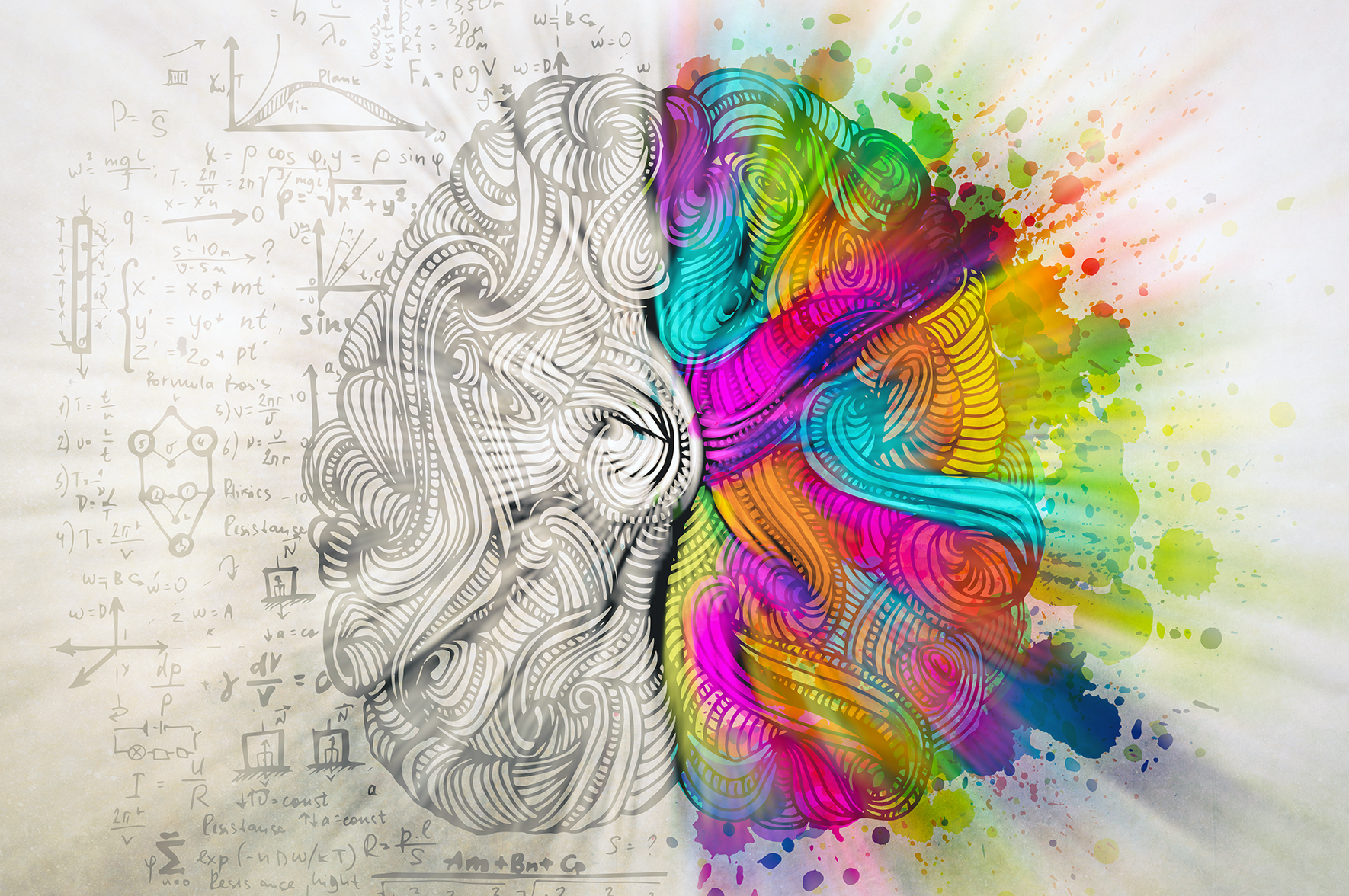 Odłączona chirurgicznie półkula mózgu pogrąża się we śnie