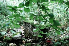 Resztki podmurówki cerkwi