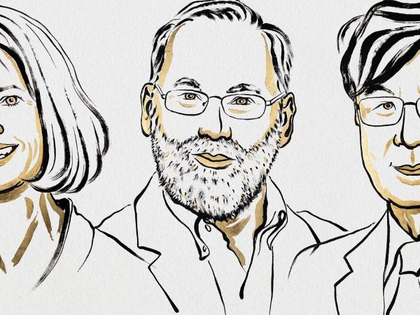 Nobel w dziedzinie medycyny 2025: Mary E. Brunkow, Fred Ramsdell i Shimon Sakaguchi