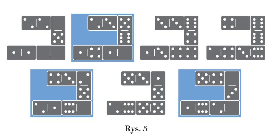 Rys. 5