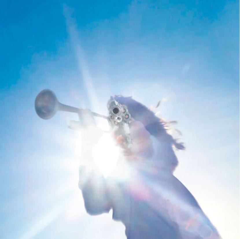 Geese, Getting Killed