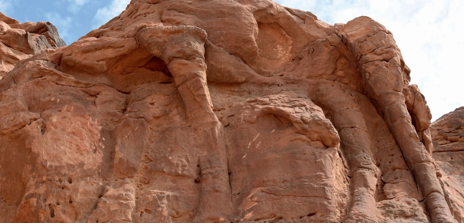 Kamienne wielbłądy wyrzeźbione co najmniej 7 tys. lat temu na północy Półwyspu Arabskiego, wówczas bardziej wilgotnego i porośniętego sawanną.