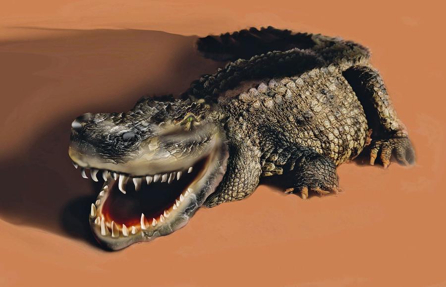 Model kajmana z rodzaju Purussaurus, żyjącego w epoce miocenu na terenie dzisiejszej Ameryki Południowej.
