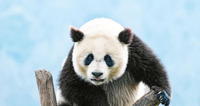 Pulsar - wyjątkowy portal naukowy.