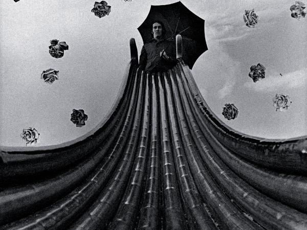 Jacqueline Livingston, Parasol chroniący przed spadającymi różami, 1971 r.