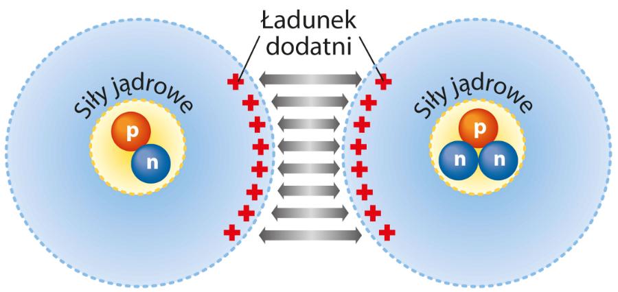 Dodatnio naładowane jądra odpychają się, dlatego tak trudno połączyć dwa lżejsze atomy w jeden cięższy. P – proton, n – neutron.